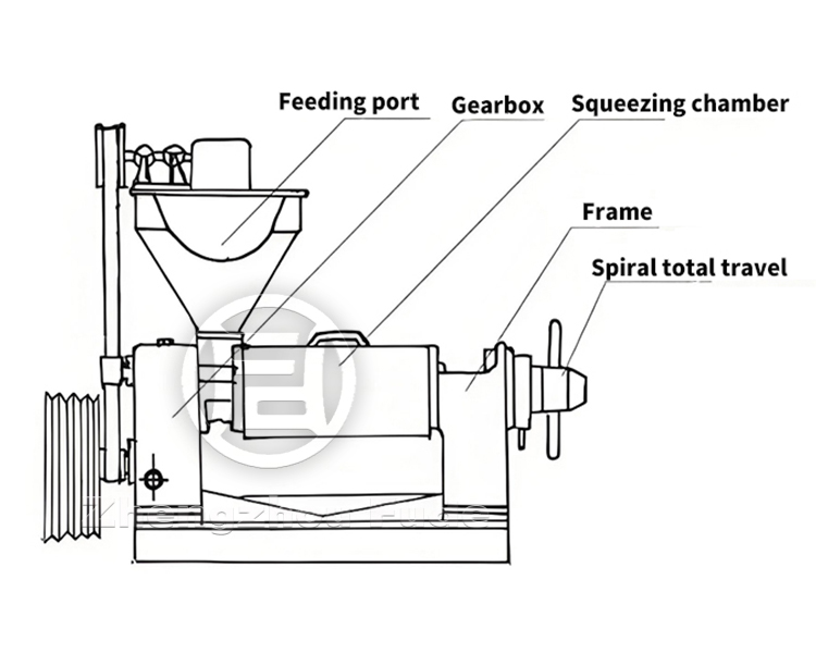 Spiral oil press